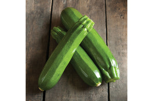 Spineless Beauty Hybrid Green Zucchini